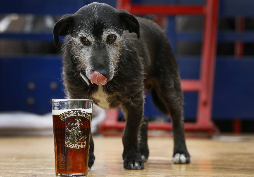 f-beer-a-20150813-870x6061