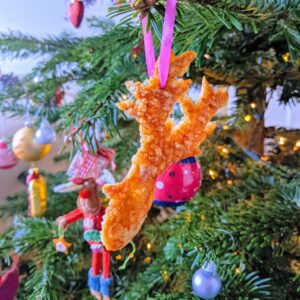 Pork Crackling Reindeer Christmas Decoration